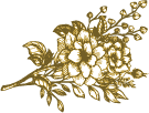 flower-illustration.png